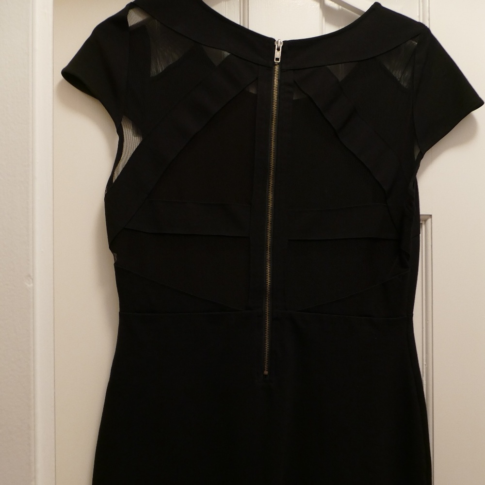 Black Bodycon Mini Dress with Mesh Back Cutouts - Picture 6 of 8